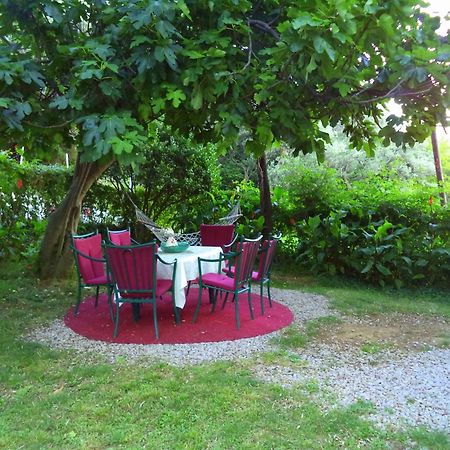Apartments Nikcevic Budva Extérieur photo